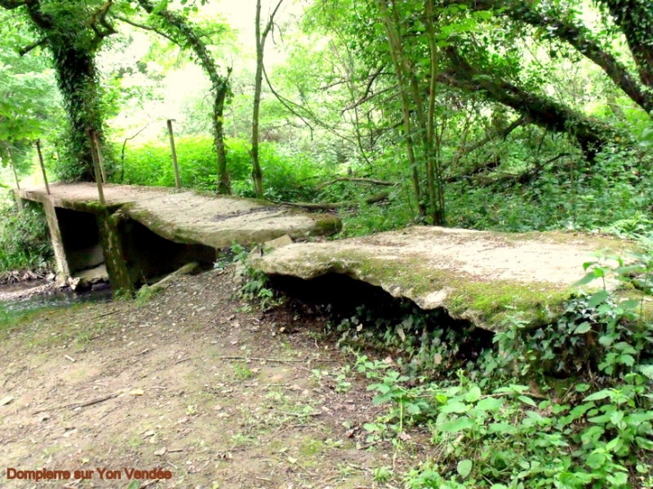 Ce pont date du Néolithique 10000 ans avant J C - Dompierre-sur-Yon