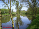 La rivière Vendée à L'Ile d'ELLE.