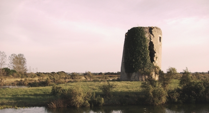 Ruine du moulin Gueffard - L'Île-d'Olonne