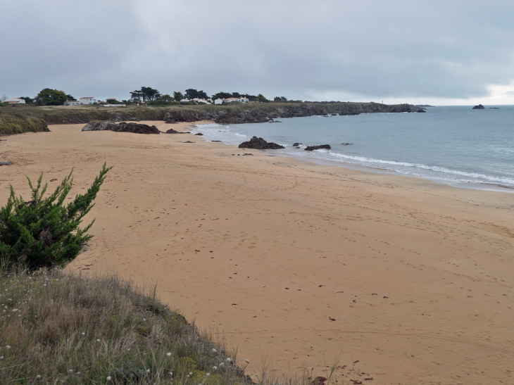 La côte sauvage : la plage des Vieilles - L'Île-d'Yeu