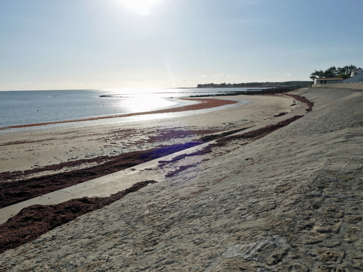 La côte Sud Ouest : la plage des sables d'Or - La Guérinière