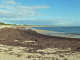 Photo précédente de La Guérinière la côte Sud Ouest : la plage des sables d'Or