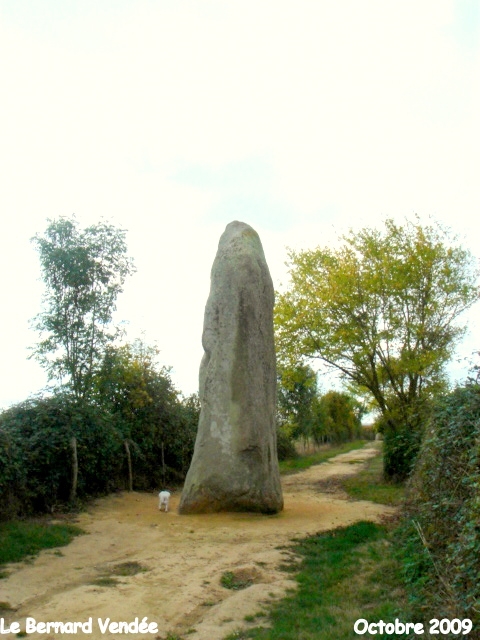 Menhir du Mesnil - Le Bernard