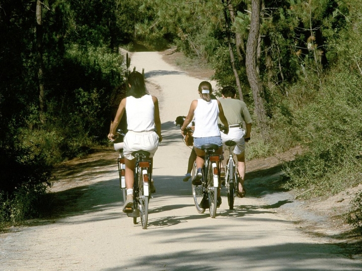 Randonnée à vélo dans la campagne ou sur les 1 000 km de pistes cyclables de Vendée - Les Clouzeaux