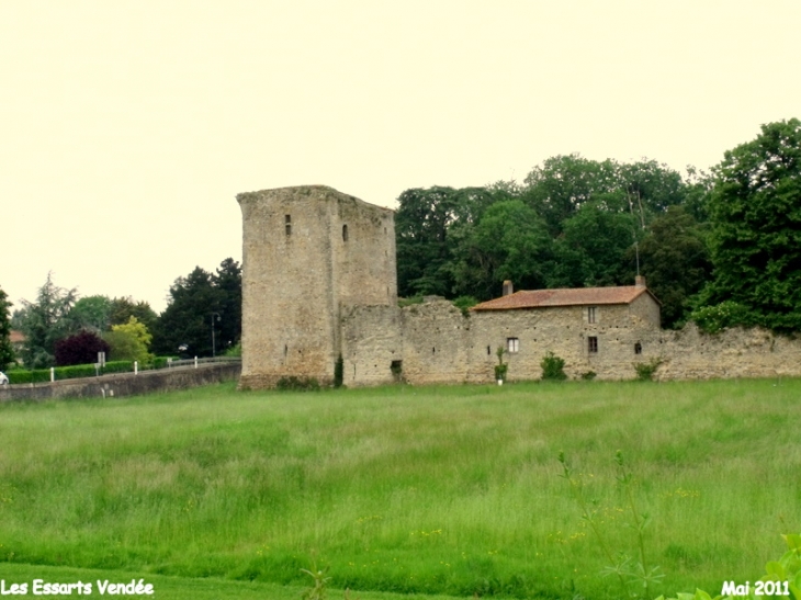 Chateau des essarts et sa tour Sarrasine XII eme siècle - Les Essarts