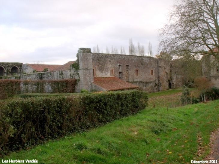 Abbaye de la Grainetière XIIeme siècle  - Les Herbiers