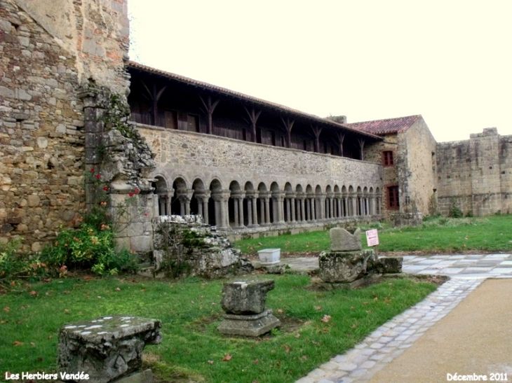 Abbaye de la Grainetière XIIeme siècle  - Les Herbiers