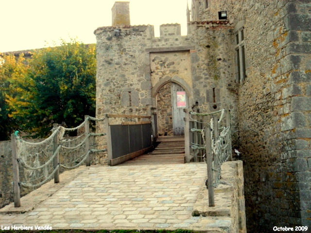 Pont levis du chateau d'Ardelay - Les Herbiers