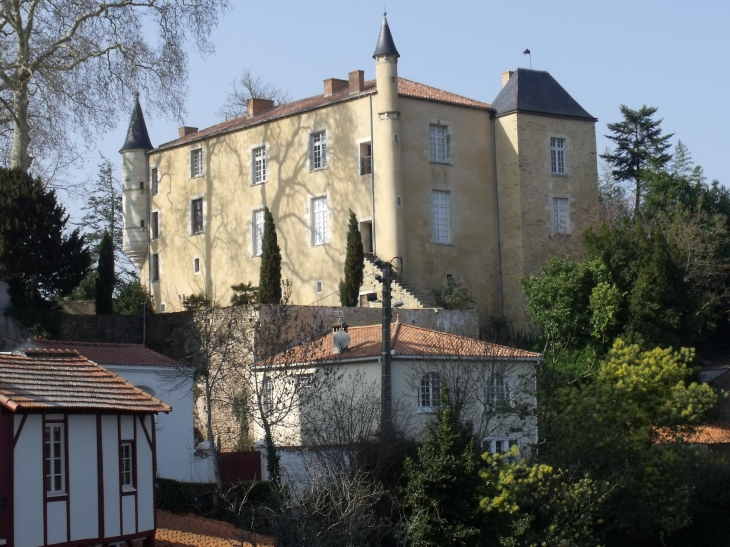 Le chateau de Mareuil sur Lay - Mareuil-sur-Lay-Dissais