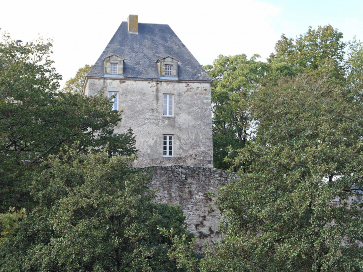 Le château - Montaigu