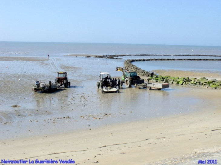 Les ostreiculteurs attendent les basses eaux pour avoir accès aux parcs - Noirmoutier-en-l'Île