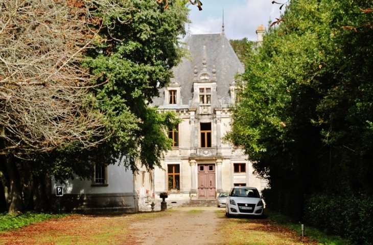 Château de la Cour D'Aron - Saint-Cyr-en-Talmondais