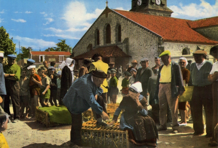 Place de l'Eglise (carte postale de 1970) - Saint-Jean-de-Monts