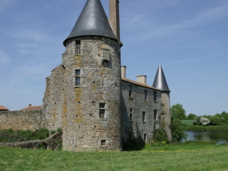 Chateau de la Gréve - Saint-Martin-des-Noyers