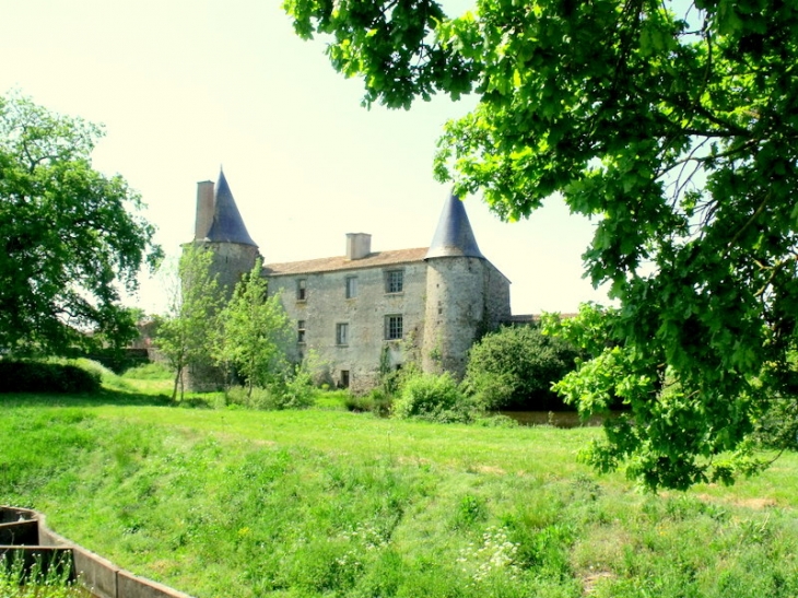 Chateau de la grève - Saint-Martin-des-Noyers
