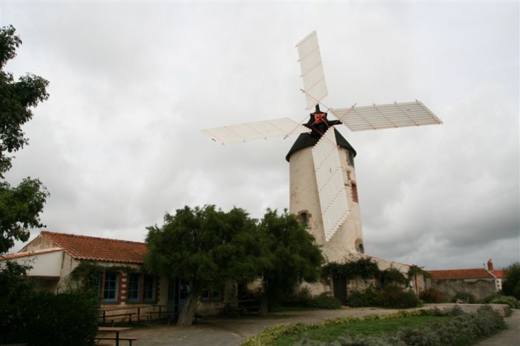Le moulin de Rairé Sallertaine