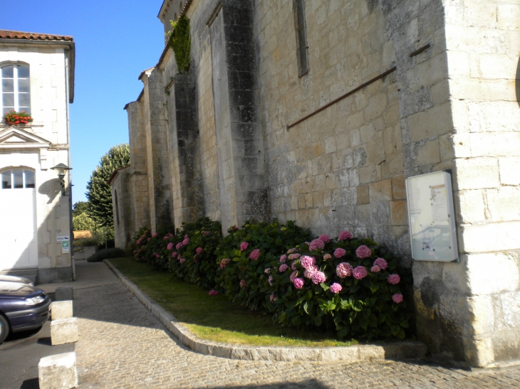 église - Velluire