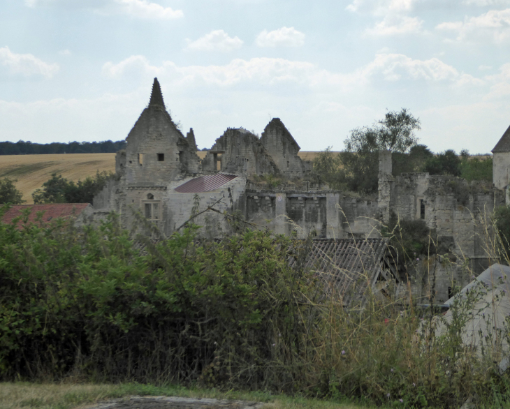 Les ruines du château - Armentières-sur-Ourcq
