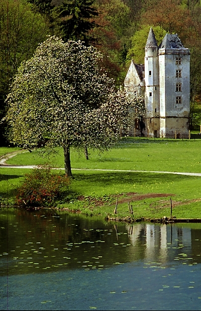 Ruines ancien abbaye - Saint-Nicolas-aux-Bois