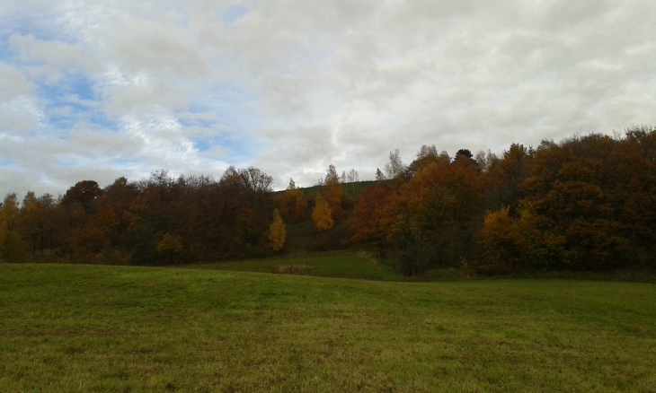 Couleurs d'automne sur le versant sud de la  - Saint-Thomas