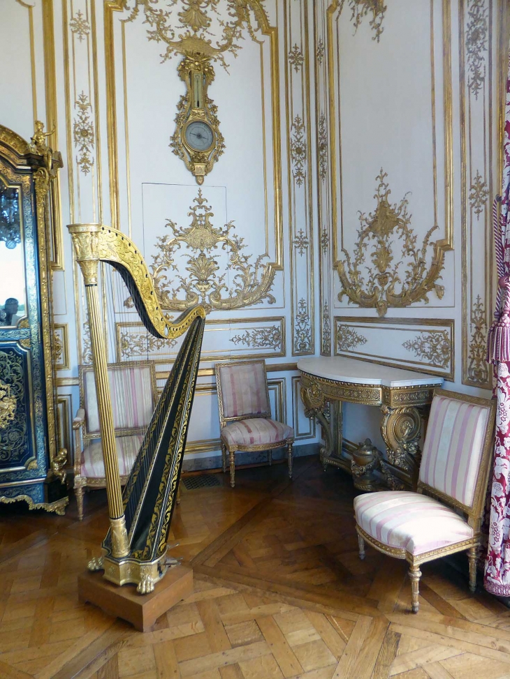 Les appartements princiers : le salon de musique - Chantilly