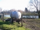 Photo précédente de Choisy-au-Bac Réserve d'eau pour animaux