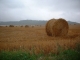 champs de blé prés du mont sainte hélène