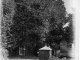 Photo précédente de Abbeville Vers 1910, L'arbre de la Vierge (carte postale ancienne).