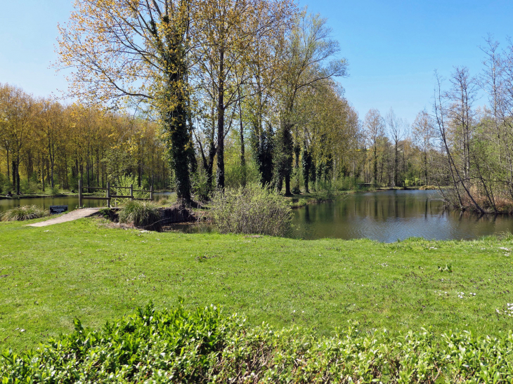 Les étangs - Bray-sur-Somme