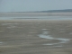 Photo précédente de Cayeux-sur-Mer le Hourdel : la baie de Somme