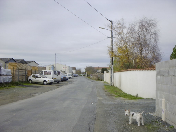 Chemin Rochelais aprés l'impasse des lys - Aigrefeuille-d'Aunis