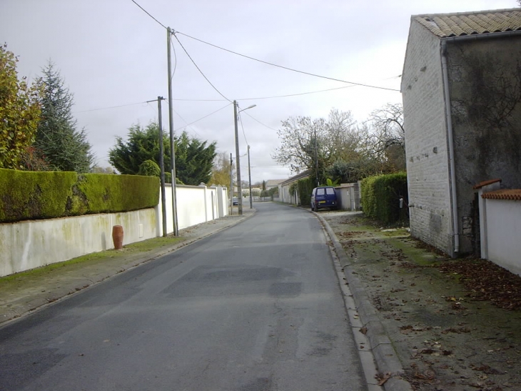Rue des Ormes en direction de la rue de l'Aunis - Aigrefeuille-d'Aunis