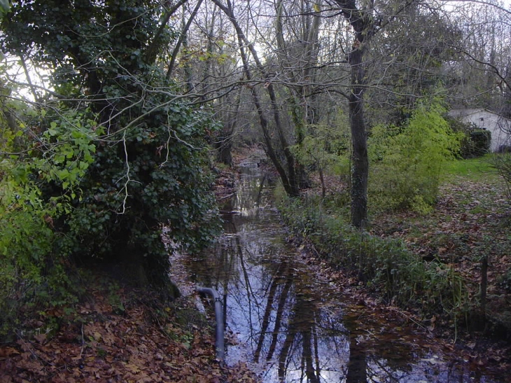Ruisseau dans la rue de la Taillée - Aigrefeuille-d'Aunis