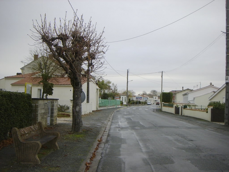 Avenue des Marronniers depuis la rue Agrifolium en allant vers la Mairie - Aigrefeuille-d'Aunis