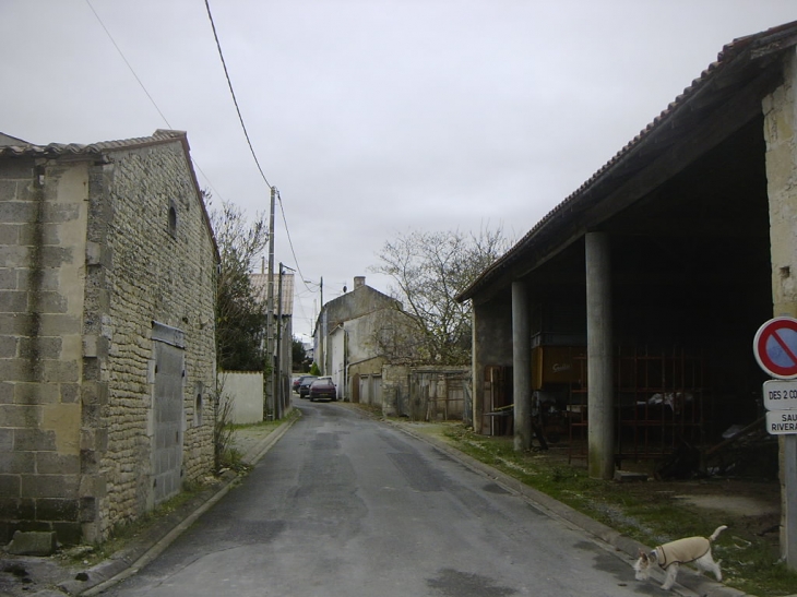 Rue Péré est depuis la rue des Ormes - Aigrefeuille-d'Aunis
