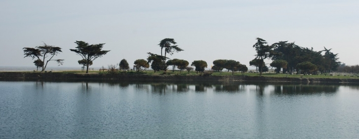 Plan d'eau de l'école de voile - La Couarde-sur-Mer