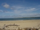 Photo précédente de La Tremblade Depuis plage de l'embellie : la pointe de gatseau Ile d'Oleron