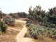 Photo précédente de Le Bois-Plage-en-Ré dunes