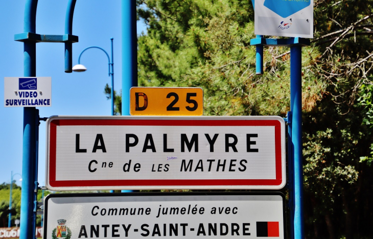 Zoo-La Palmyre - Les Mathes