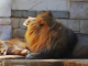 Photo suivante de Les Mathes zoo-La Palmyre