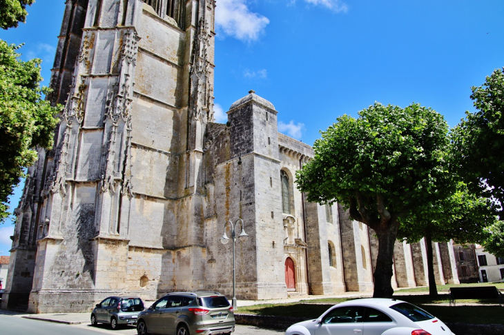  église Saint-Pierre - Marennes