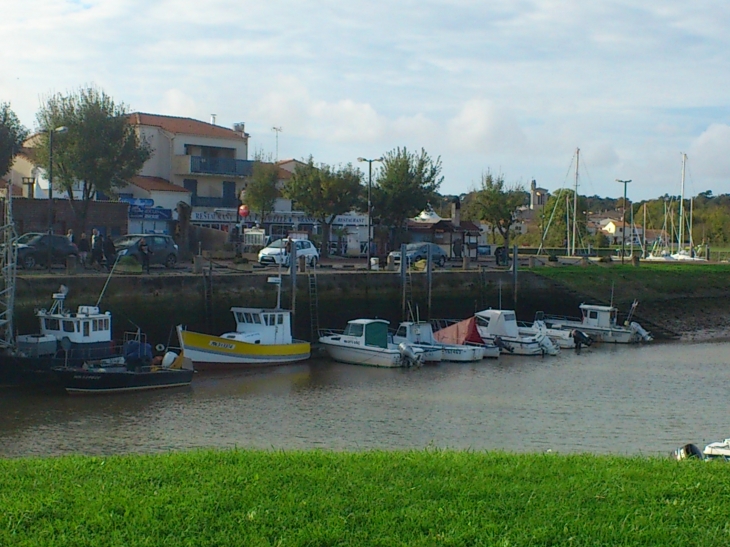 Port de meschers sur gironde - Meschers-sur-Gironde