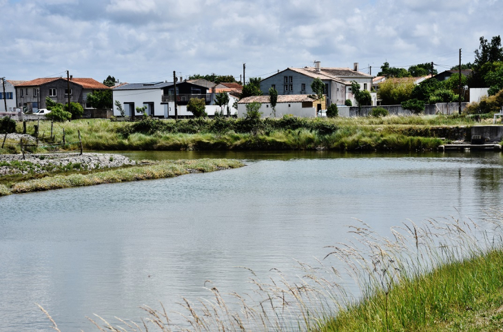 Etang - Mornac-sur-Seudre