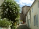 Photo suivante de Mornac-sur-Seudre Charmant village