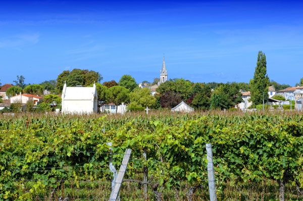 Le village vue de la route de Saint Ciers du Taillon - crédit Philippe Bizet - Saint-Dizant-du-Gua