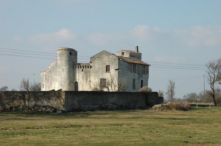 Le château fort du XIIème siècle - Saint-Jean-d'Angle