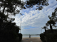 Le promeneur du sentier des Douaniers - plage du Bureau