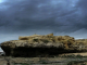 Photo précédente de Saint-Palais-sur-Mer Sous le regard d'une corneille, rochers du Platin