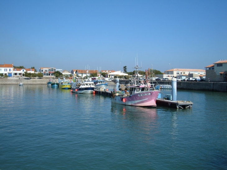 Port de la Cotinière, commune de Saint Pierre d'Oléron - Saint-Pierre-d'Oléron