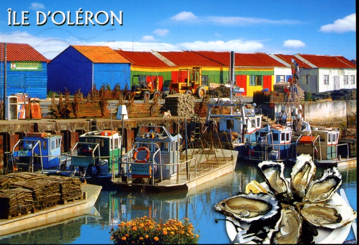 Île d'Oléron, vers 2000 (carte postale). - Saint-Pierre-d'Oléron